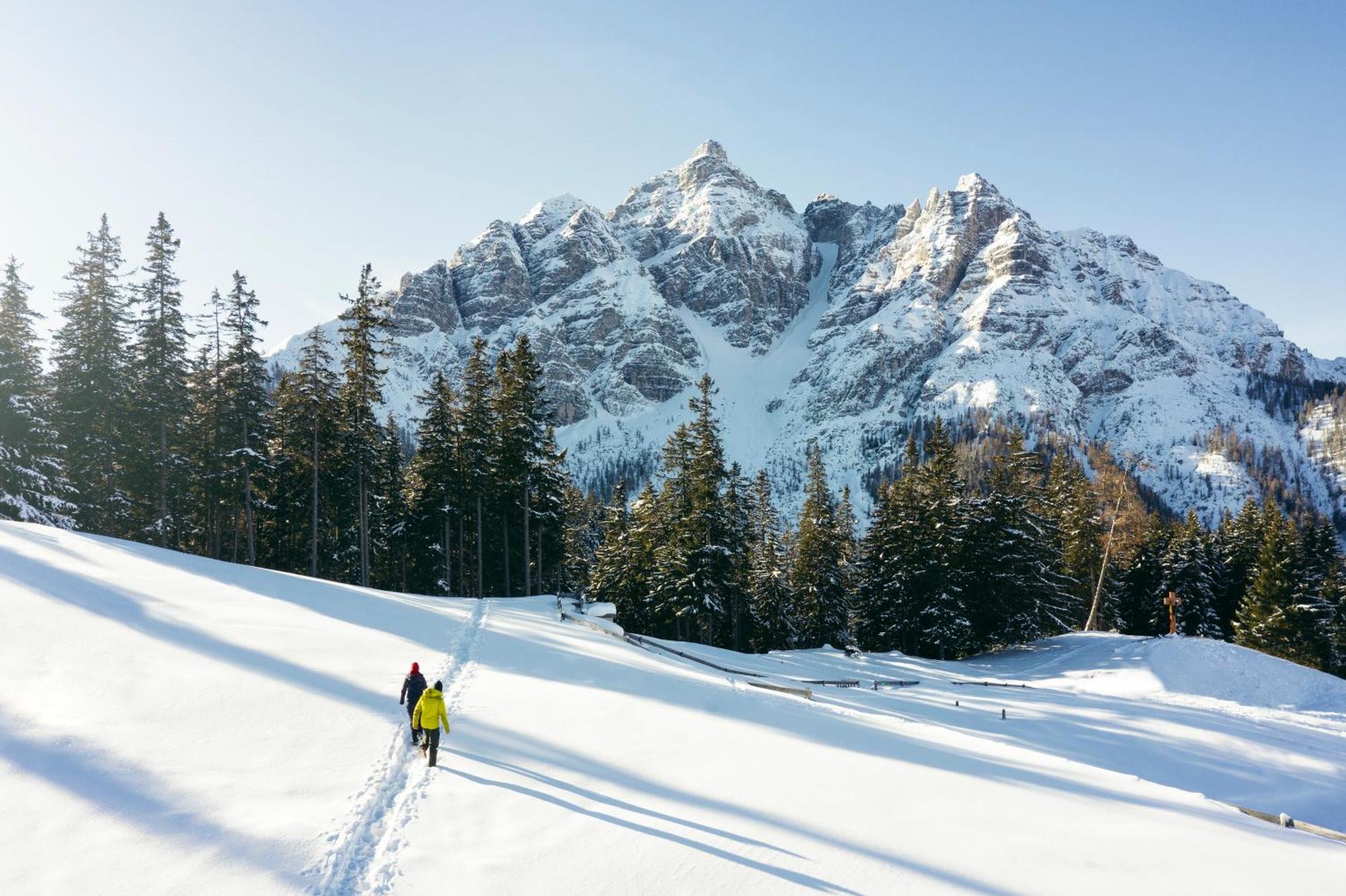 Stoanmandl Wohlfuehlappartements Neustift im Stubaital Exteriér fotografie