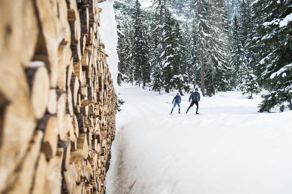 Stoanmandl Wohlfuehlappartements Neustift im Stubaital Exteriér fotografie
